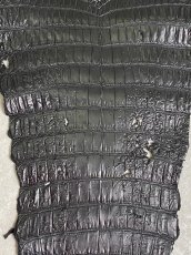 画像7: スモールクロコダイル　ブラック　41　ポロサス　ワニ革　クロコダイル革　 (7)