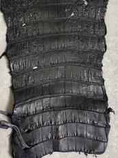 画像8: スモールクロコダイル　ブラック　41　ポロサス　ワニ革　クロコダイル革　 (8)