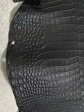 画像4: クロコダイル　 レトロブラック　37　鰐革　ワニ革 (4)