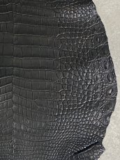 画像5: クロコダイル　 レトロブラック　37　鰐革　ワニ革 (5)