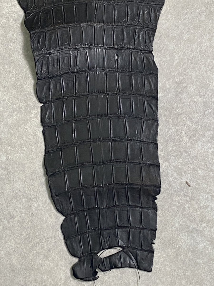 画像7: クロコダイル　 レトロブラック　38　鰐革　ワニ革 (7)