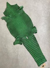 画像1: シャムクロコダイル　谷染め　グリーン　35 (1)