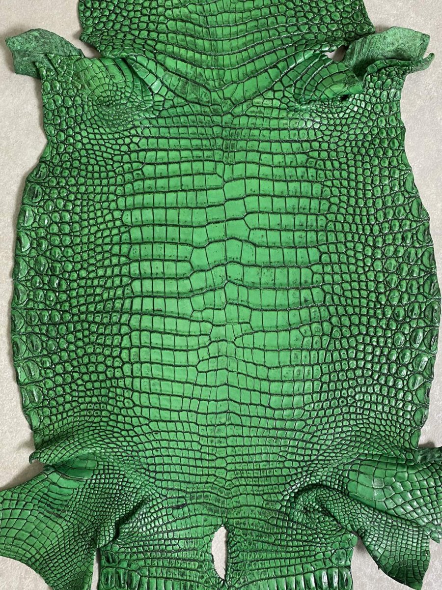 画像7: シャムクロコダイル　谷染め　グリーン　35 (7)