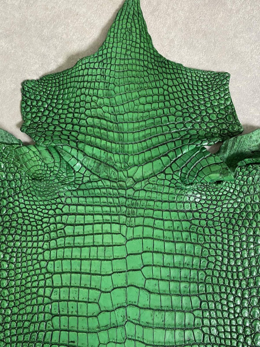 画像6: シャムクロコダイル　谷染め　グリーン　35 (6)