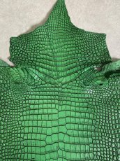 画像6: シャムクロコダイル　谷染め　グリーン　35 (6)