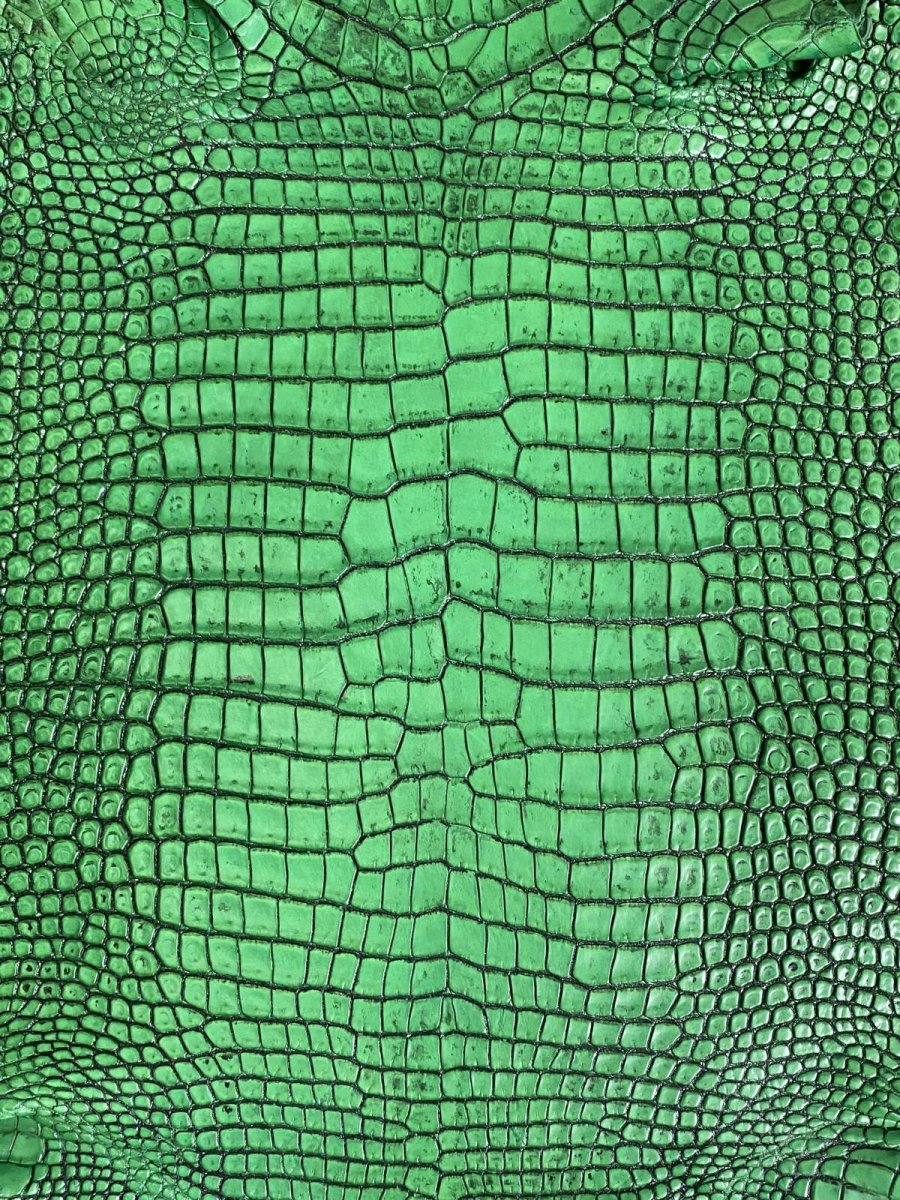 画像2: シャムクロコダイル　谷染め　グリーン　35 (2)
