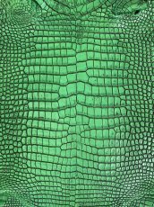 画像2: シャムクロコダイル　谷染め　グリーン　35 (2)