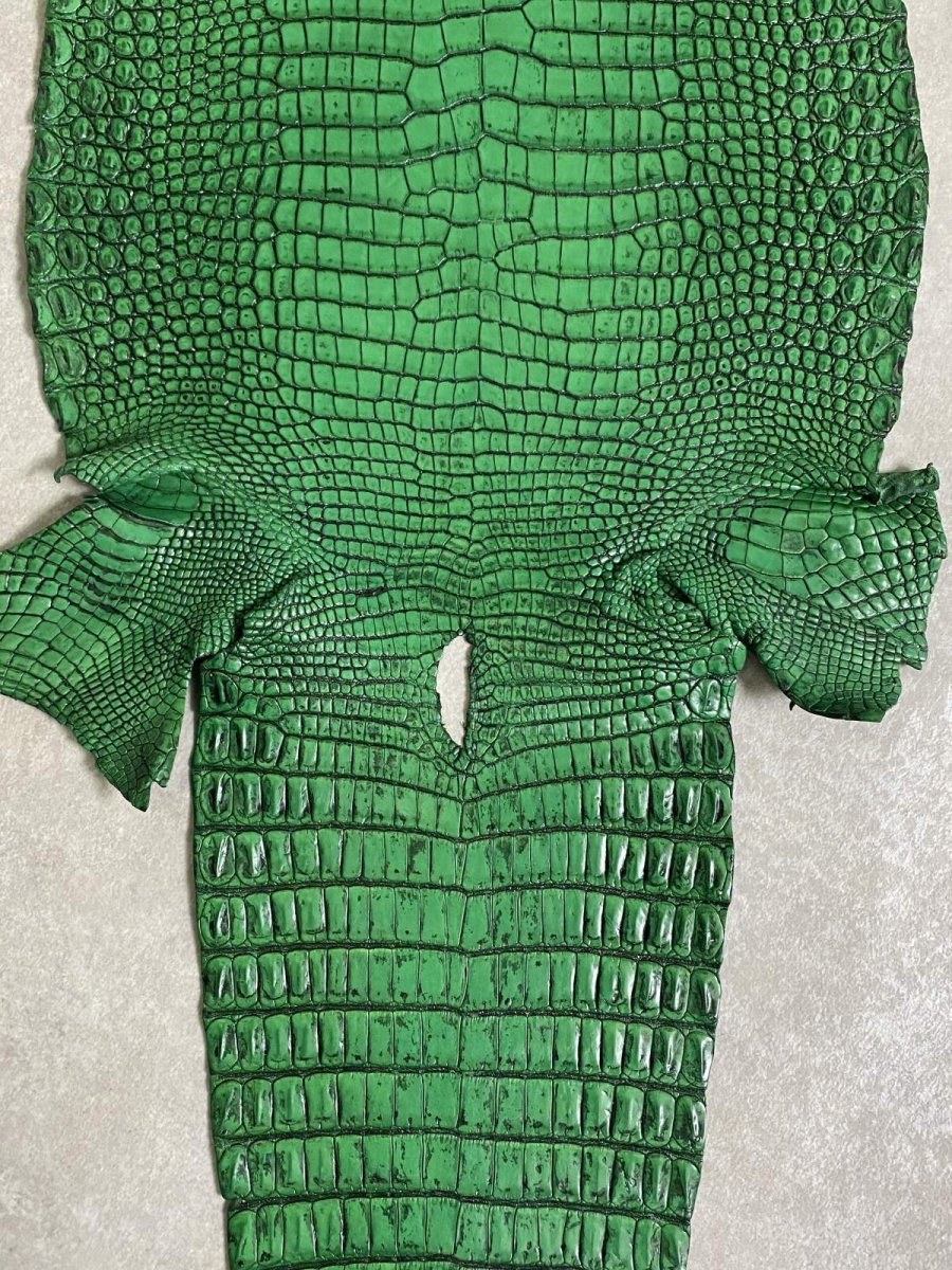 画像8: シャムクロコダイル　谷染め　グリーン　35 (8)