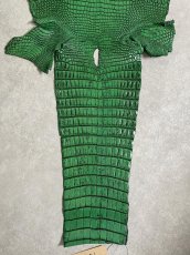 画像9: シャムクロコダイル　谷染め　グリーン　35 (9)