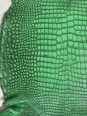 画像4: シャムクロコダイル　谷染め　グリーン　35 (4)