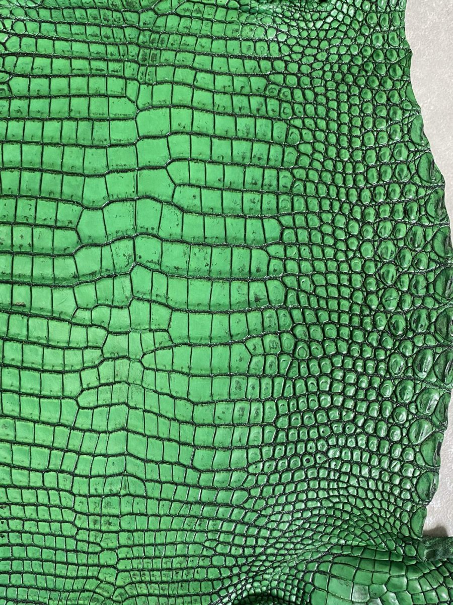 画像5: シャムクロコダイル　谷染め　グリーン　35 (5)