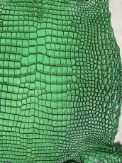 画像5: シャムクロコダイル　谷染め　グリーン　35 (5)