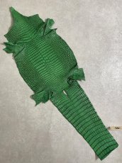 画像1: シャムクロコダイル　谷染め　グリーン　34 (1)