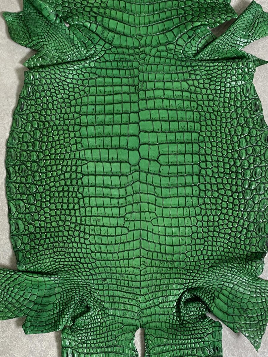画像7: シャムクロコダイル　谷染め　グリーン　34 (7)