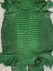 画像7: シャムクロコダイル　谷染め　グリーン　34 (7)