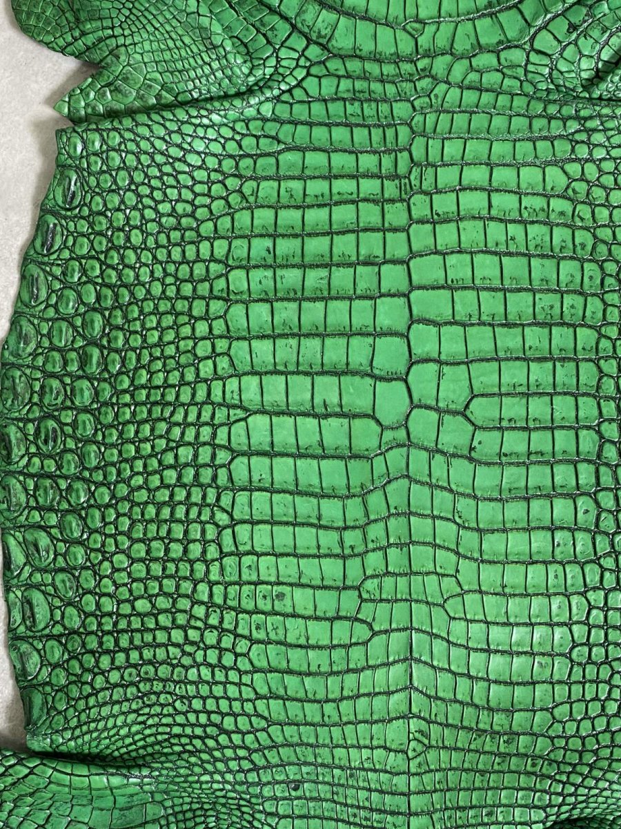 画像4: シャムクロコダイル　谷染め　グリーン　34 (4)