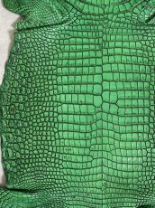 画像4: シャムクロコダイル　谷染め　グリーン　34 (4)