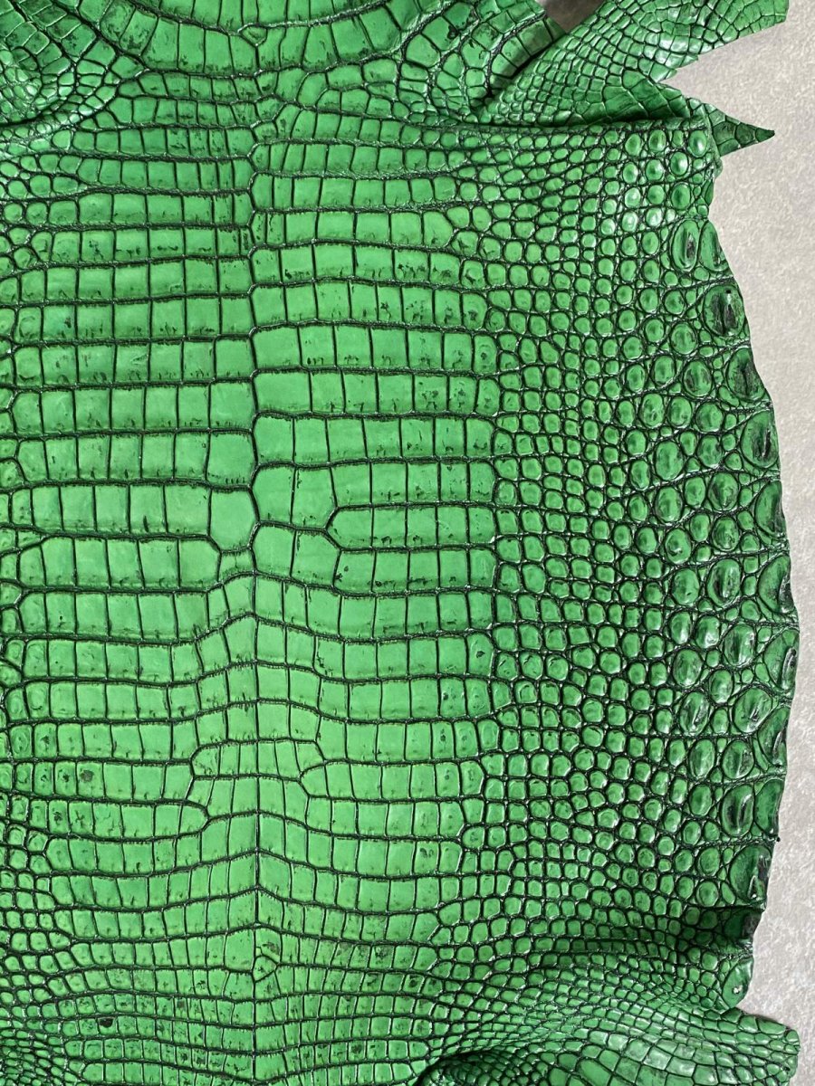 画像5: シャムクロコダイル　谷染め　グリーン　34 (5)