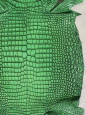 画像5: シャムクロコダイル　谷染め　グリーン　34 (5)
