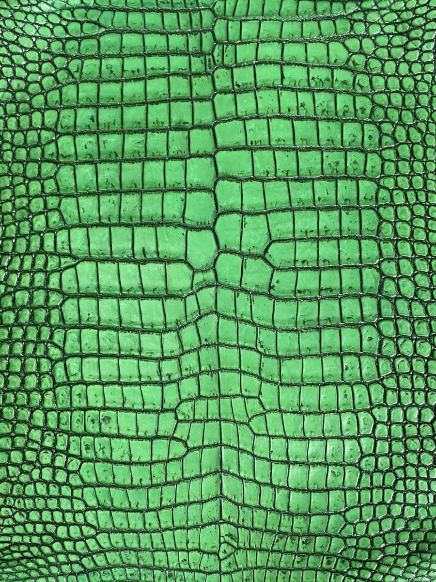 画像2: シャムクロコダイル　谷染め　グリーン　34 (2)