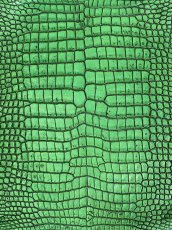 画像2: シャムクロコダイル　谷染め　グリーン　34 (2)