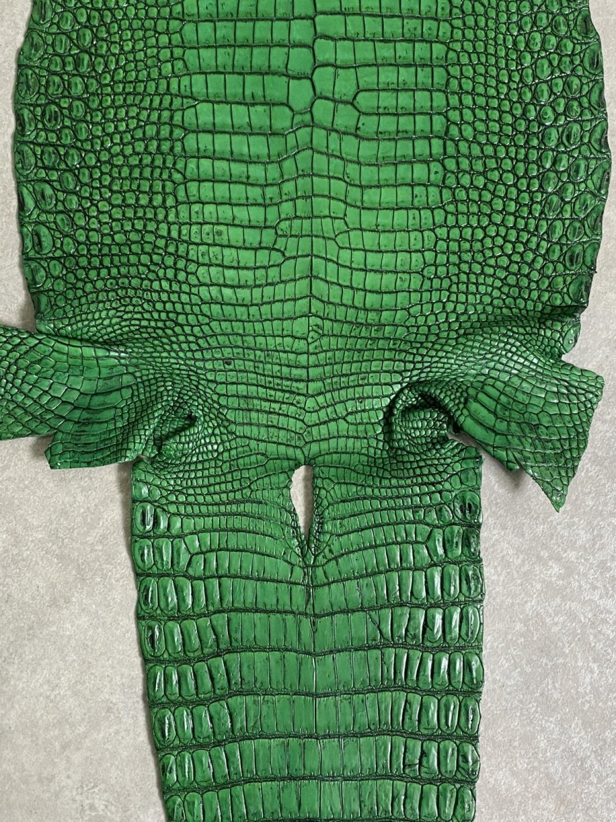 画像8: シャムクロコダイル　谷染め　グリーン　34 (8)