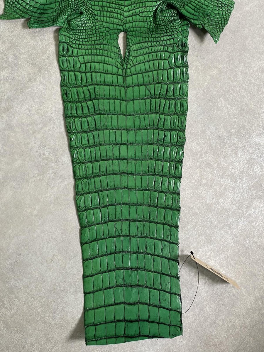 画像9: シャムクロコダイル　谷染め　グリーン　34 (9)