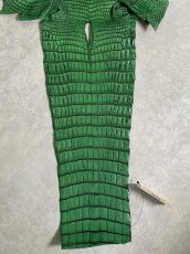 画像9: シャムクロコダイル　谷染め　グリーン　34 (9)