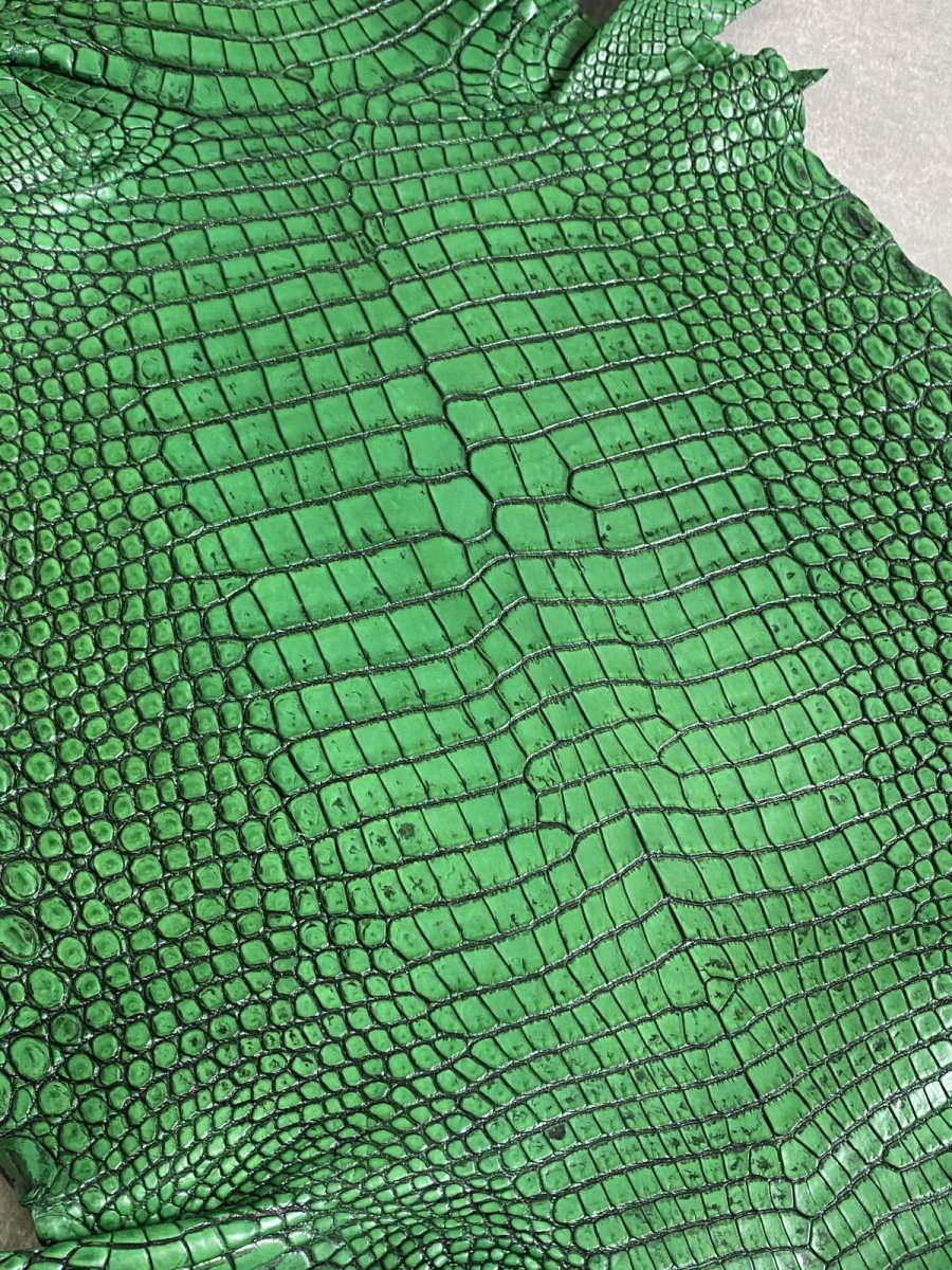 画像3: シャムクロコダイル　谷染め　グリーン　34 (3)