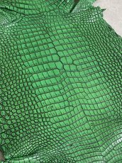 画像3: シャムクロコダイル　谷染め　グリーン　34 (3)
