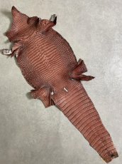 画像1: シャムクロコダイル　谷染め　レッドブラウン　36 (1)