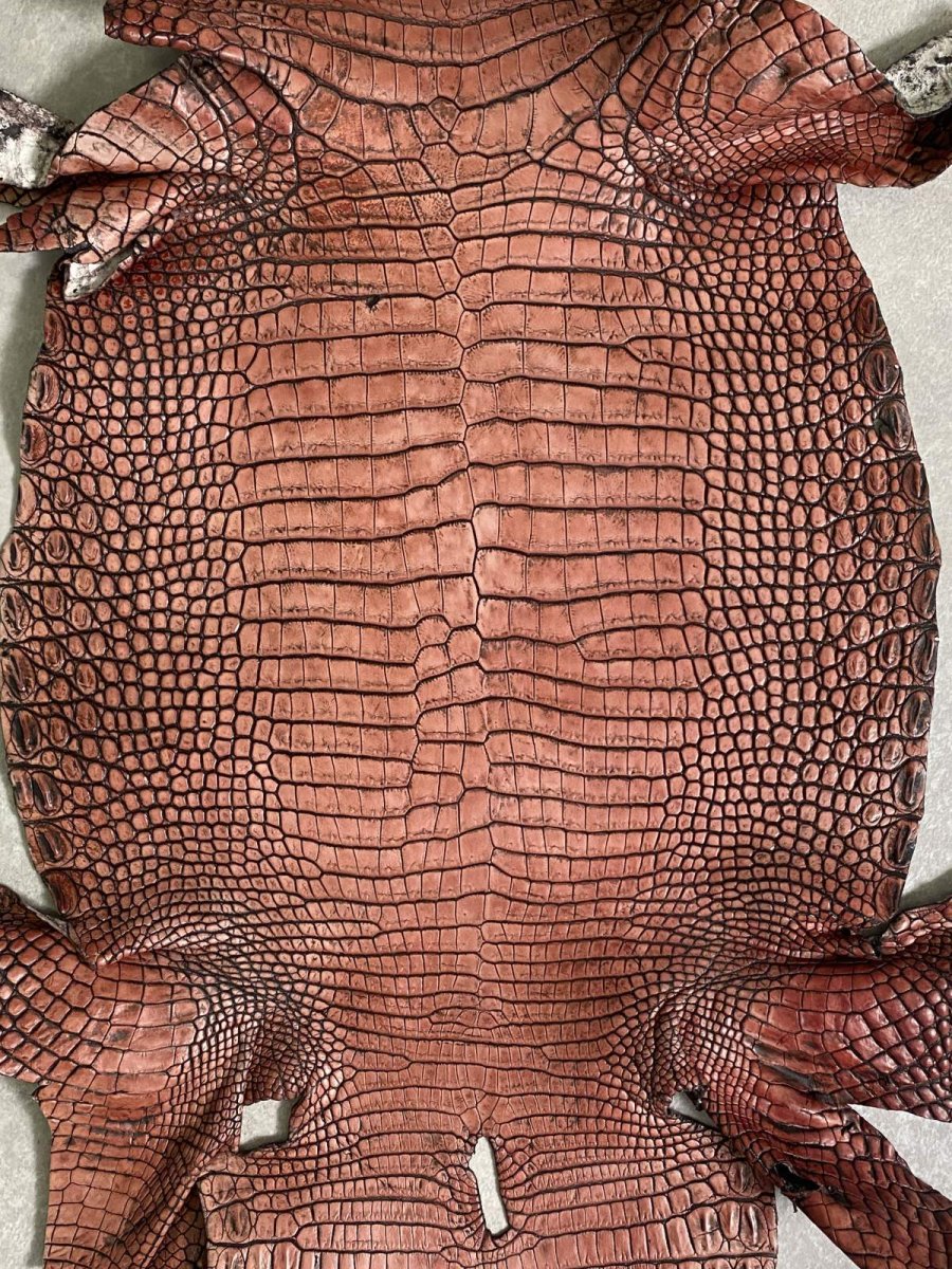画像7: シャムクロコダイル　谷染め　レッドブラウン　36 (7)