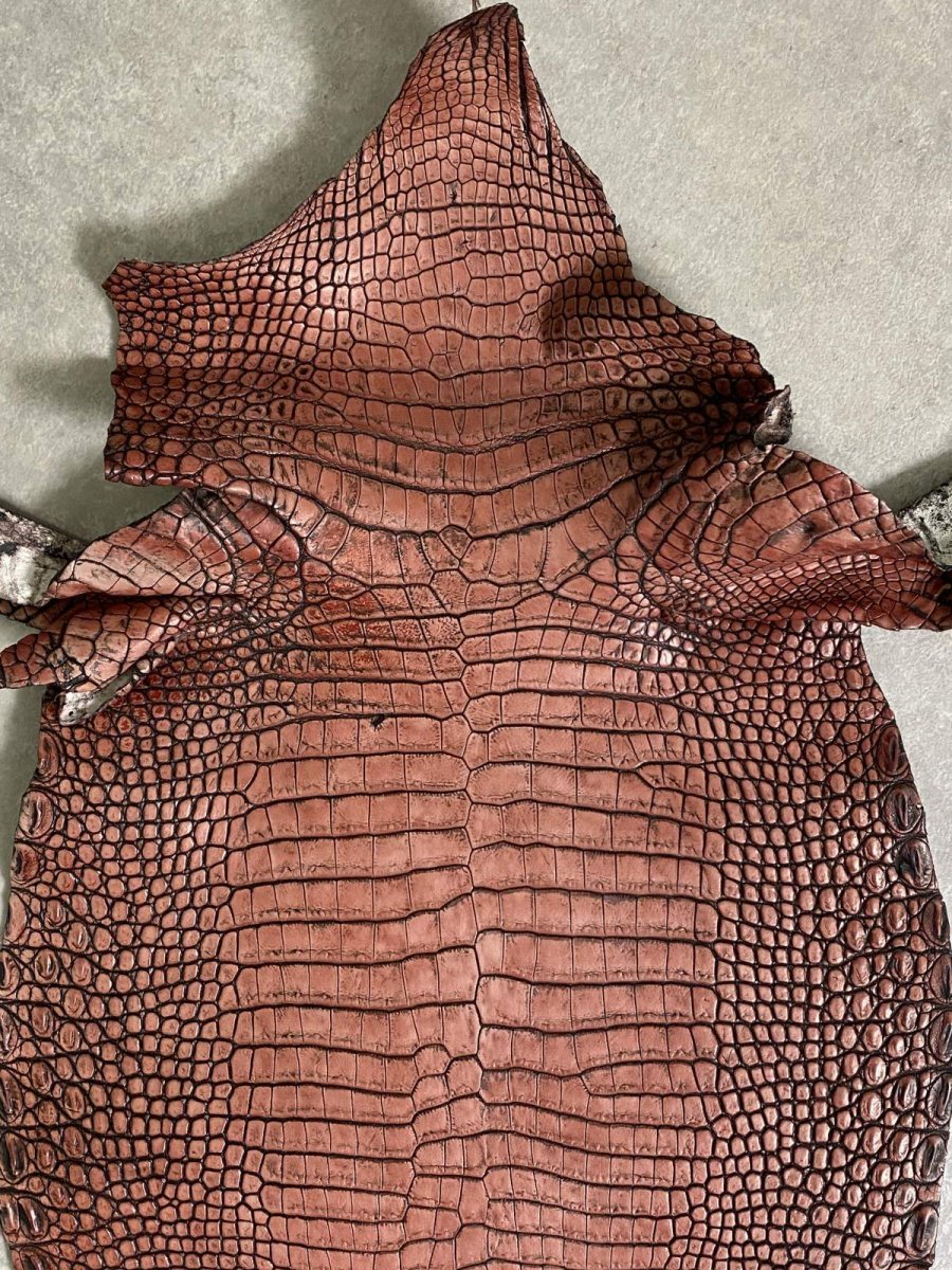 画像6: シャムクロコダイル　谷染め　レッドブラウン　36 (6)