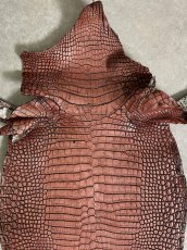 画像6: シャムクロコダイル　谷染め　レッドブラウン　36 (6)