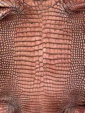 画像2: シャムクロコダイル　谷染め　レッドブラウン　36 (2)