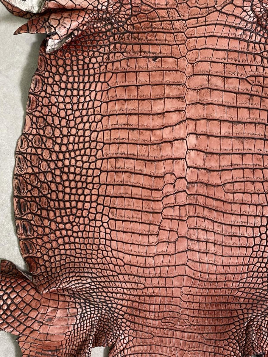 画像3: シャムクロコダイル　谷染め　レッドブラウン　36 (3)