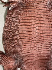 画像3: シャムクロコダイル　谷染め　レッドブラウン　36 (3)