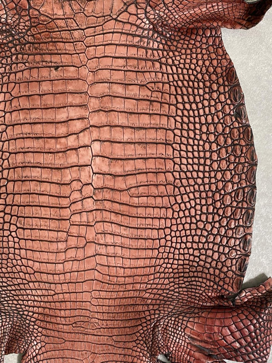 画像4: シャムクロコダイル　谷染め　レッドブラウン　36 (4)