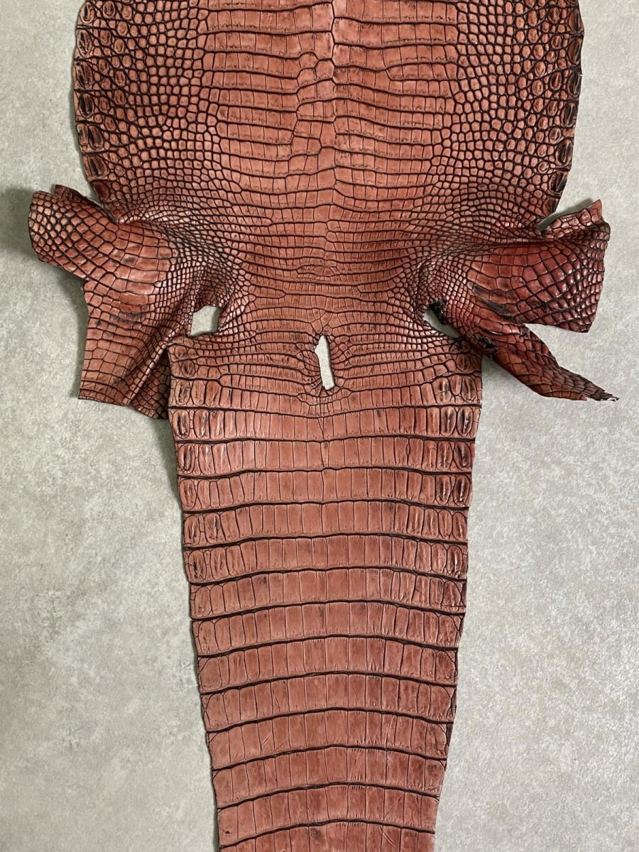 画像8: シャムクロコダイル　谷染め　レッドブラウン　36 (8)