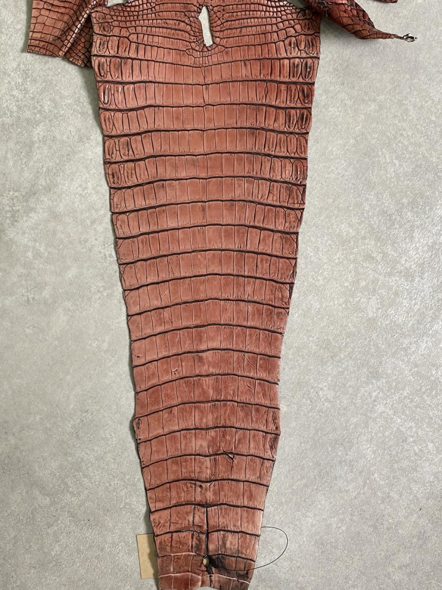 画像9: シャムクロコダイル　谷染め　レッドブラウン　36 (9)