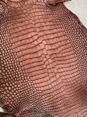 画像5: シャムクロコダイル　谷染め　レッドブラウン　36 (5)