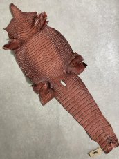 画像1: シャムクロコダイル　谷染め　レッドブラウン　34 (1)