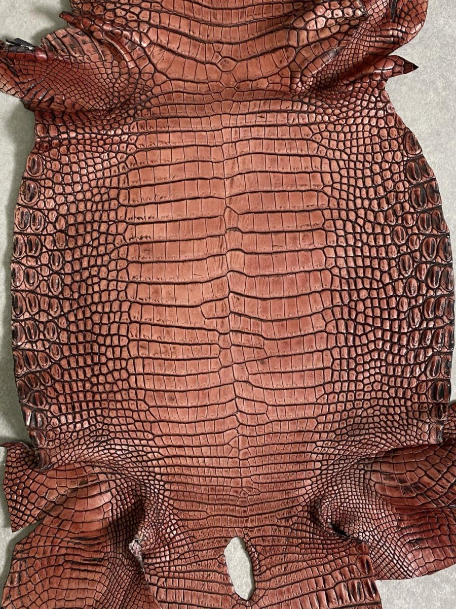 画像8: シャムクロコダイル　谷染め　レッドブラウン　34 (8)