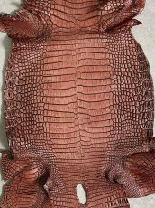 画像8: シャムクロコダイル　谷染め　レッドブラウン　34 (8)