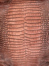 画像2: シャムクロコダイル　谷染め　レッドブラウン　34 (2)