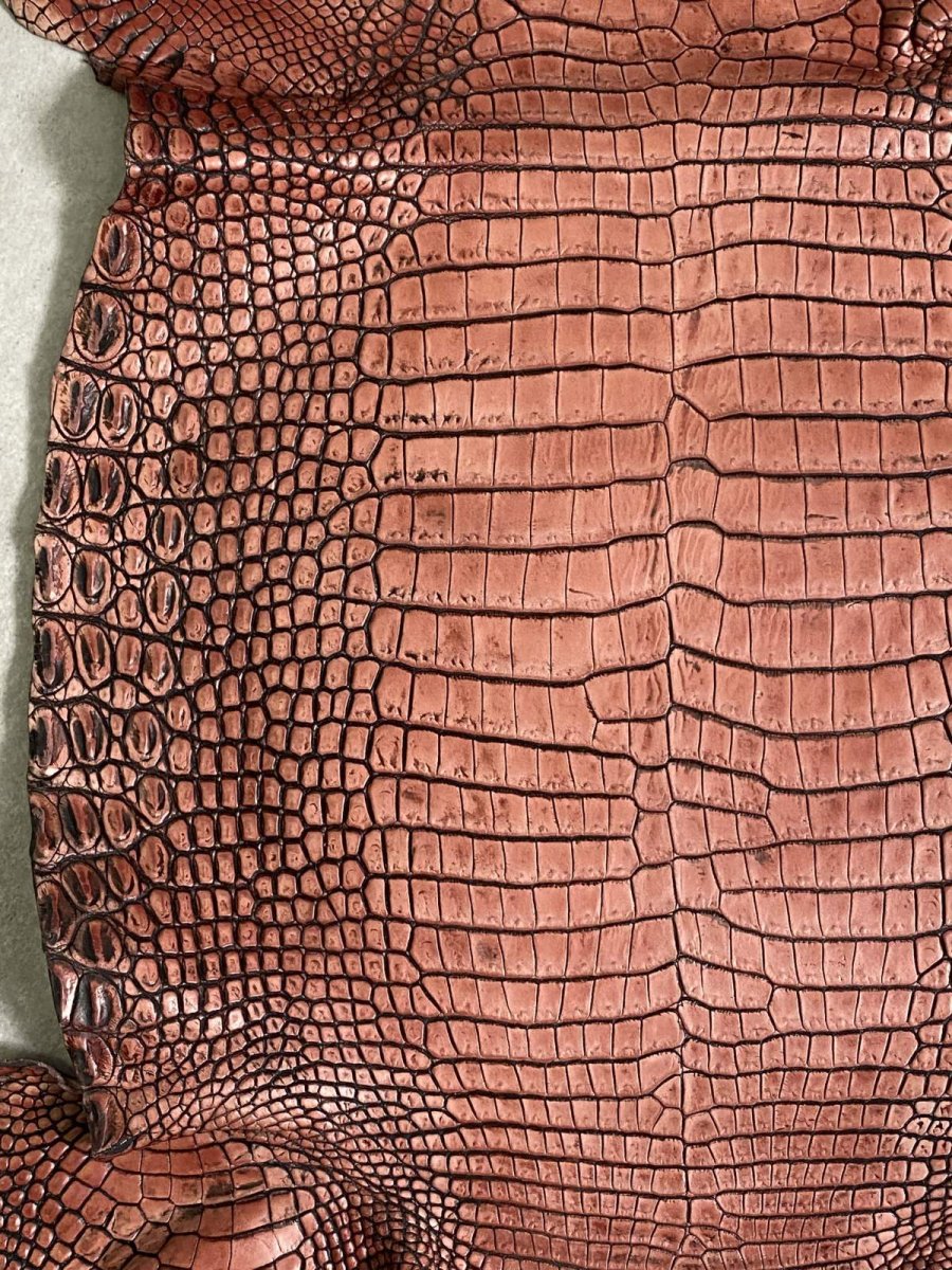 画像4: シャムクロコダイル　谷染め　レッドブラウン　34 (4)