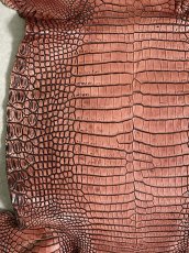 画像4: シャムクロコダイル　谷染め　レッドブラウン　34 (4)