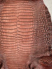 画像5: シャムクロコダイル　谷染め　レッドブラウン　34 (5)
