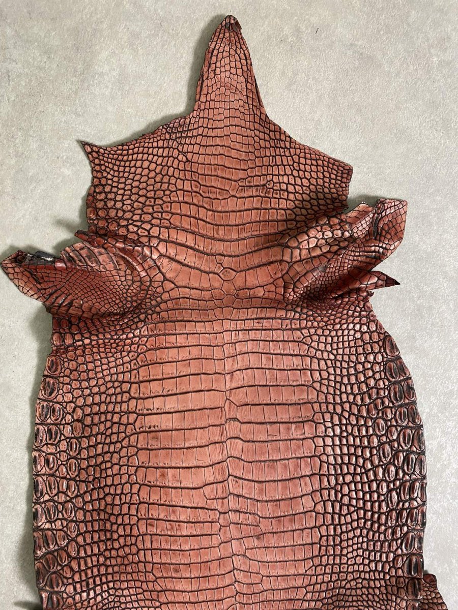 画像6: シャムクロコダイル　谷染め　レッドブラウン　34 (6)