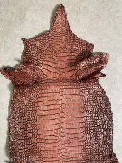 画像6: シャムクロコダイル　谷染め　レッドブラウン　34 (6)